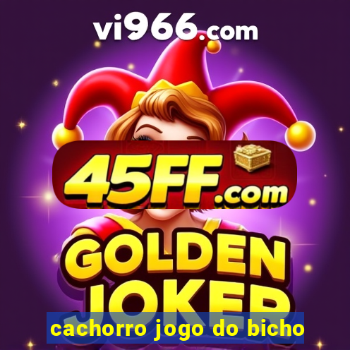 cachorro jogo do bicho